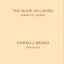 Book of Causes: Liber De Causis (English and Latin Edition)
