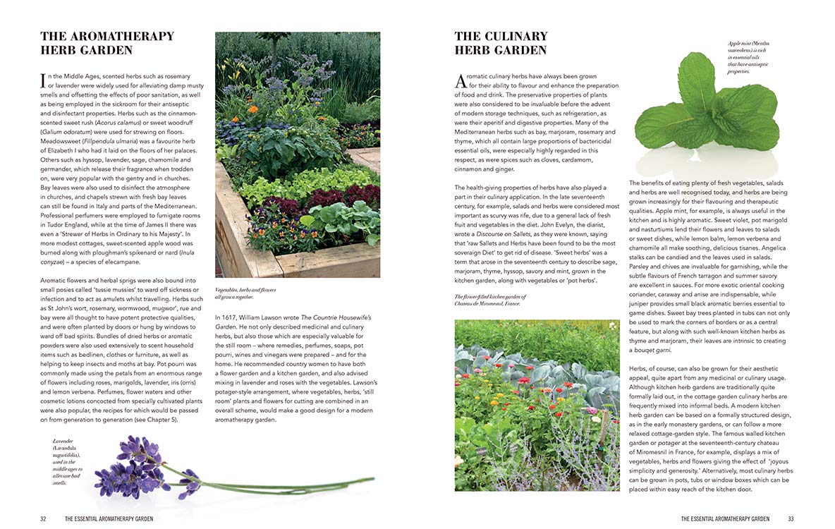 Essential Aromatherapy Garden: Growing and Using Scented Plants and Herbs