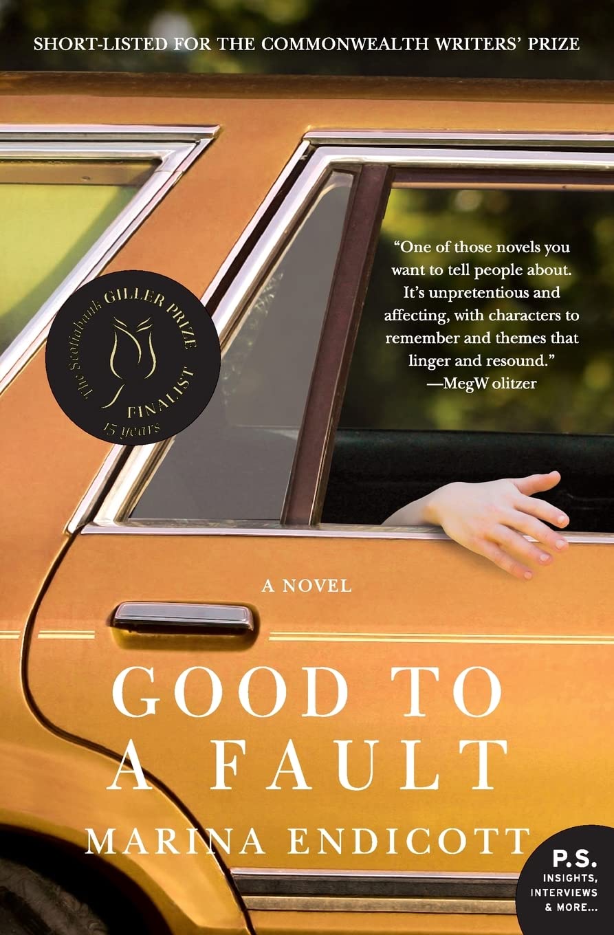 Good to a Fault: A Novel