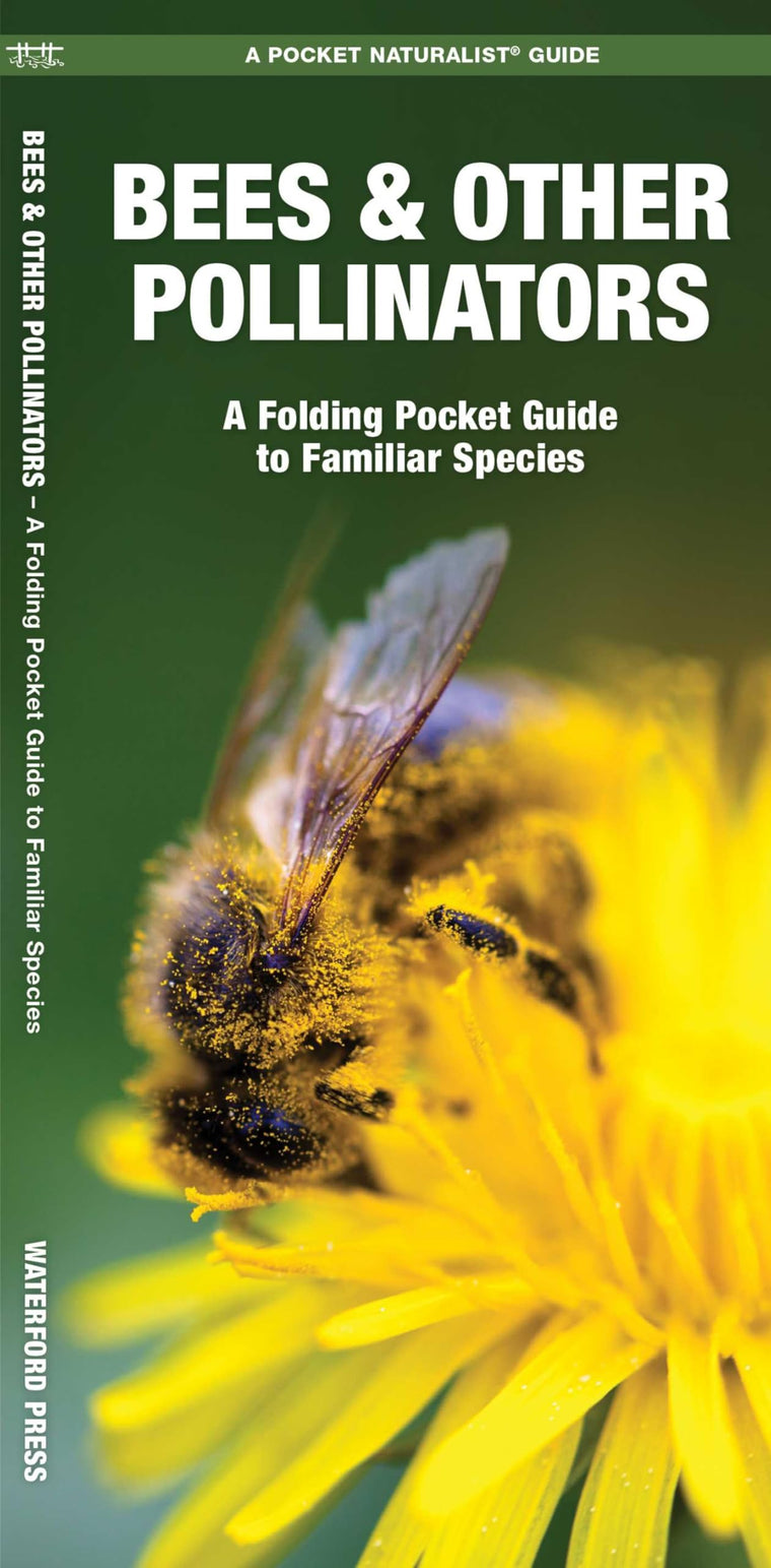 Bees & Other Pollinators: A Folding Pocket Guide to Familiar Species (Nature Observation North America)