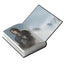 Quicksilver (Deluxe Limited Edition) (Fae & Alchemy, 1)