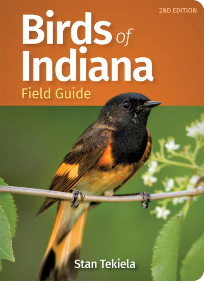 Birds of Indiana Field Guide (Bird Identification Guides)