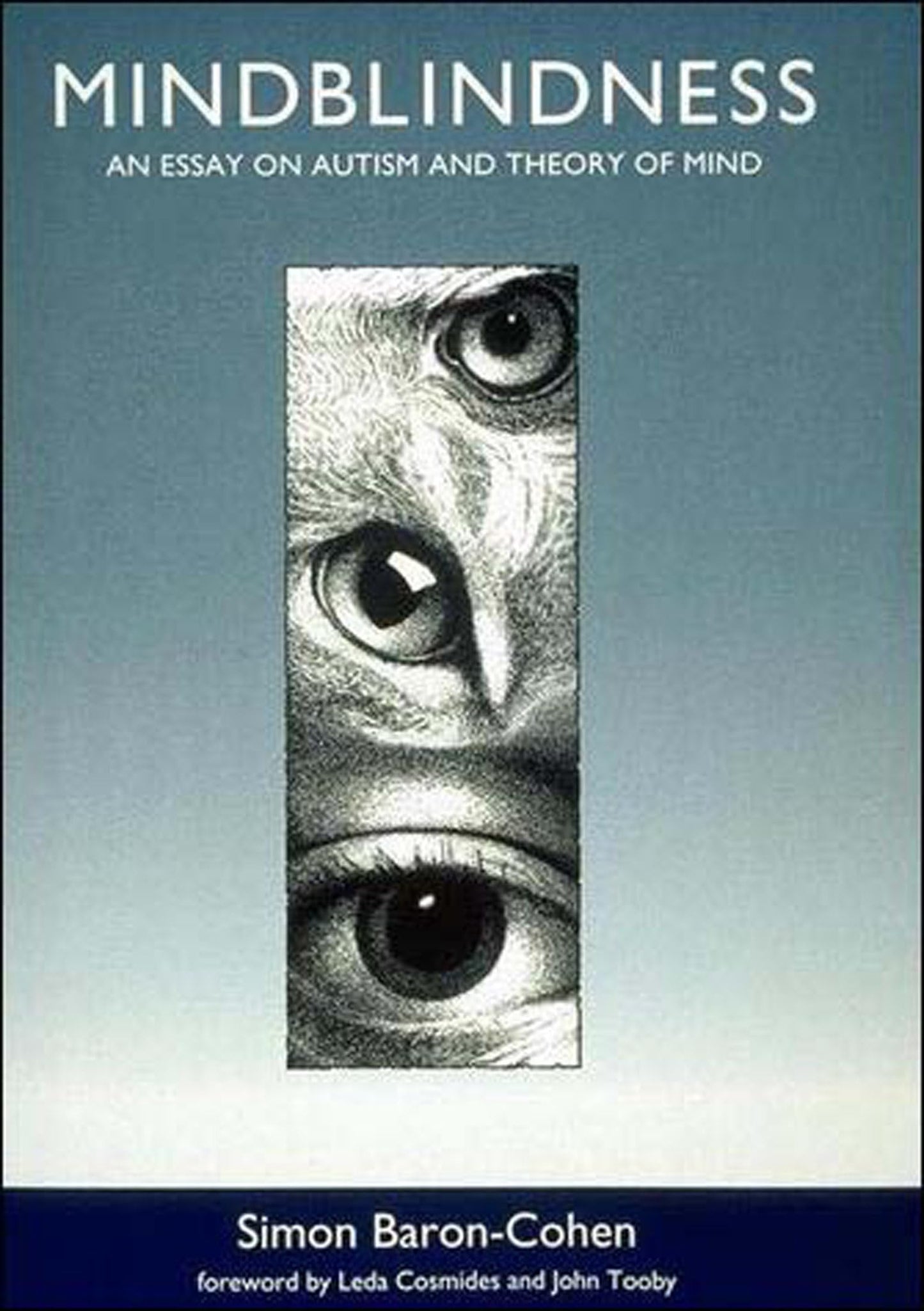 Mindblindness: An Essay on Autism and Theory of Mind