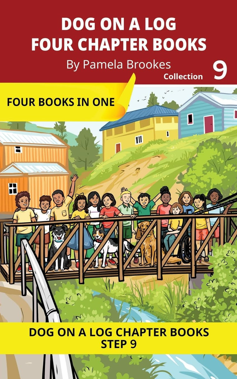 Four Chapter Books 9: Decodable Series for Students Learning to Read. For Developing Readers and Students with Dyslexia. (Step 9 Vowel Digraphs ai, ... (DOG ON A LOG Chapter Book Collections)