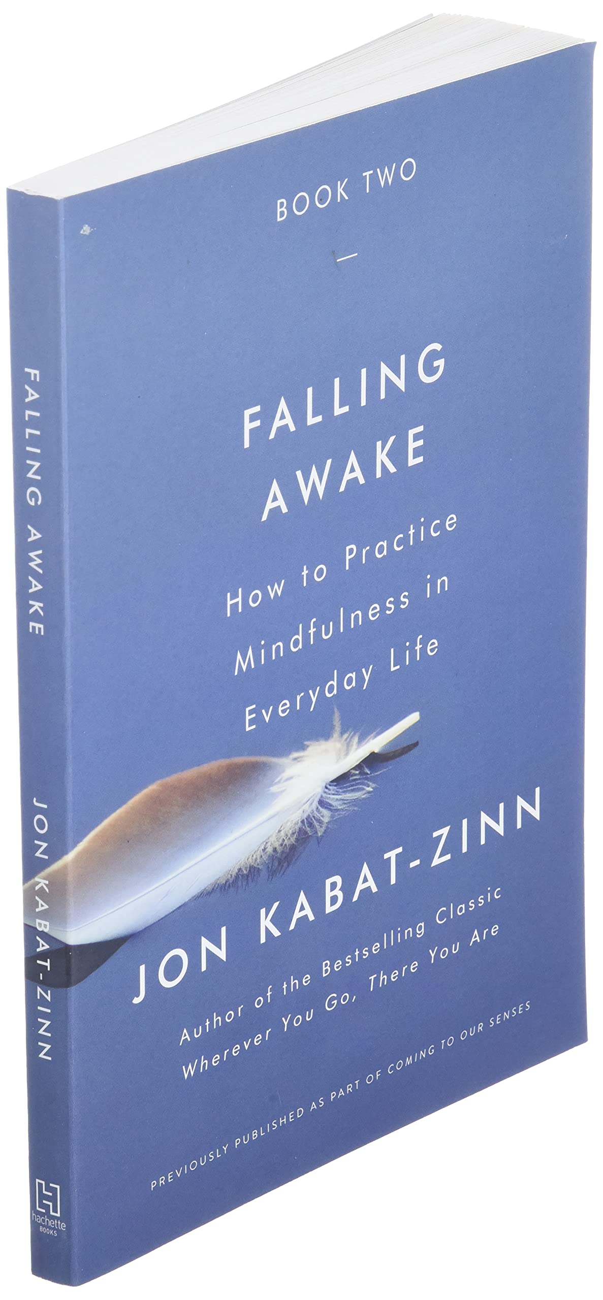 Falling Awake