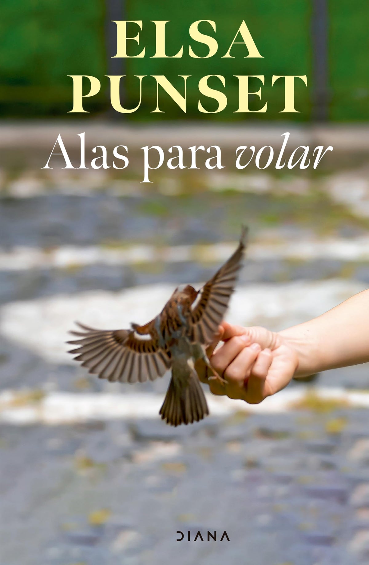 Alas para volar / Wings for Fly (Spanish Edition)