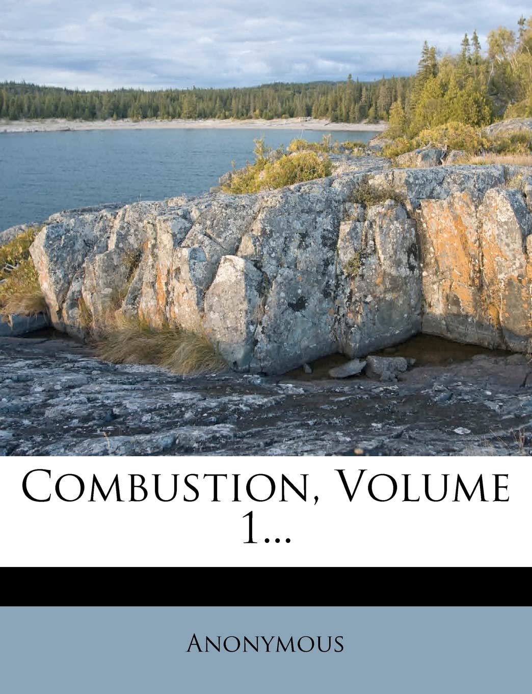 Combustion, Volume 1...