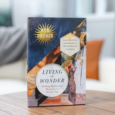 Living in Wonder: Finding Mystery and Meaning in a Secular Age