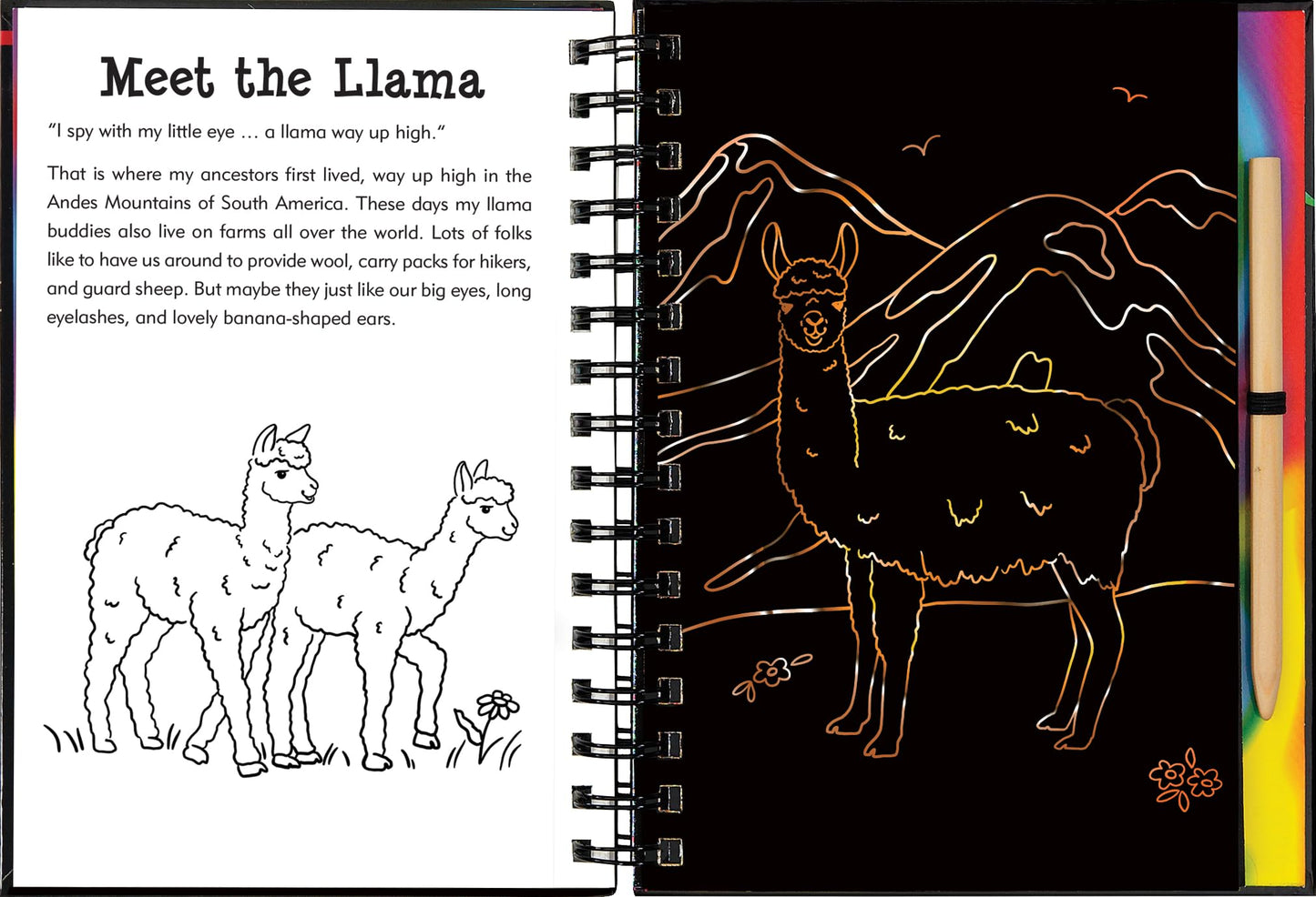 Llamas & Friends Scratch & Sketch (Trace Along)