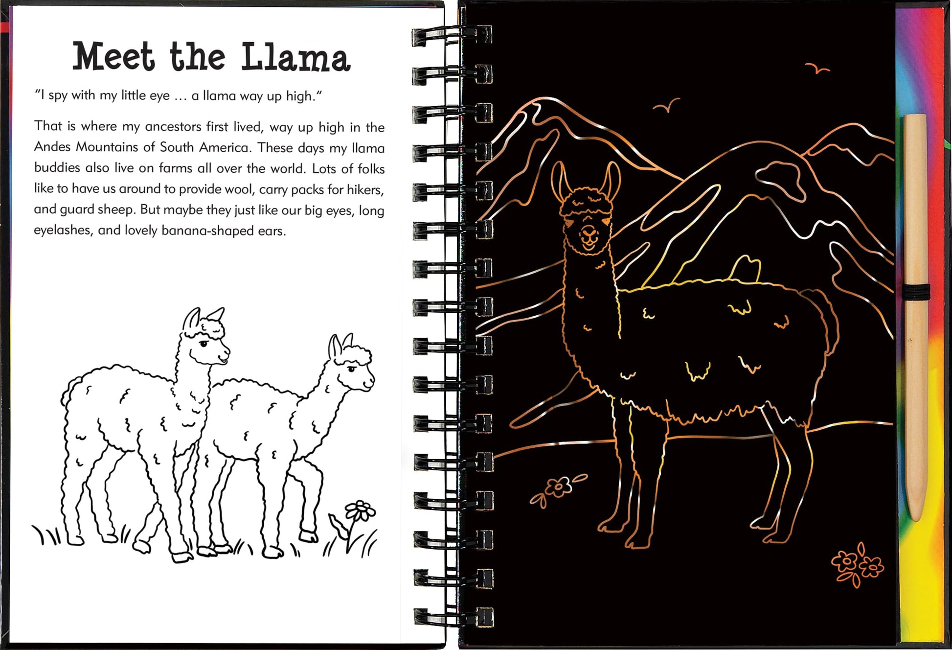 Llamas & Friends Scratch & Sketch (Trace Along)