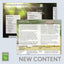 Modern Essentials 11th Edition  The Complete Essential Oil Reference Book featuring doTERRA oil names & newly released 2019 single oils and blends