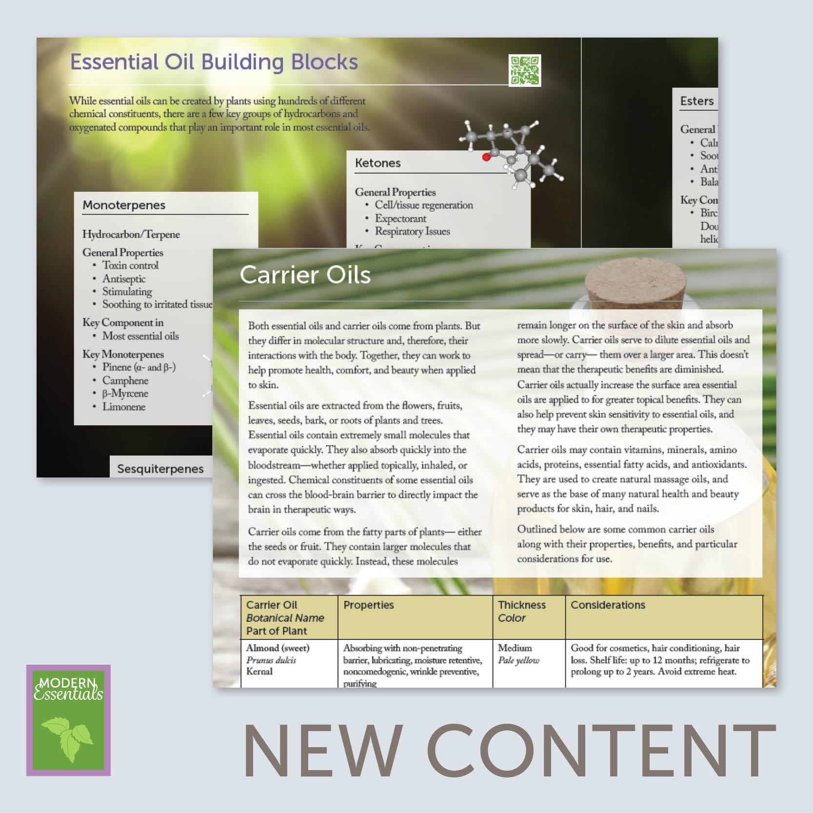 Modern Essentials 11th Edition  The Complete Essential Oil Reference Book featuring doTERRA oil names & newly released 2019 single oils and blends