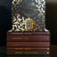 The Complete Bronte Collection (Wordsworth Box Sets)