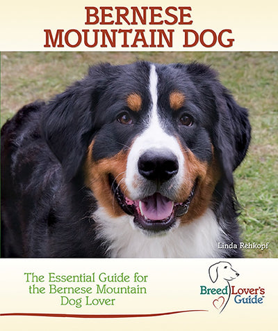 Bernese Mountain Dog: A Practical Guide for the Bernese Mountain Dog Lover (Breed Lover's Guide)