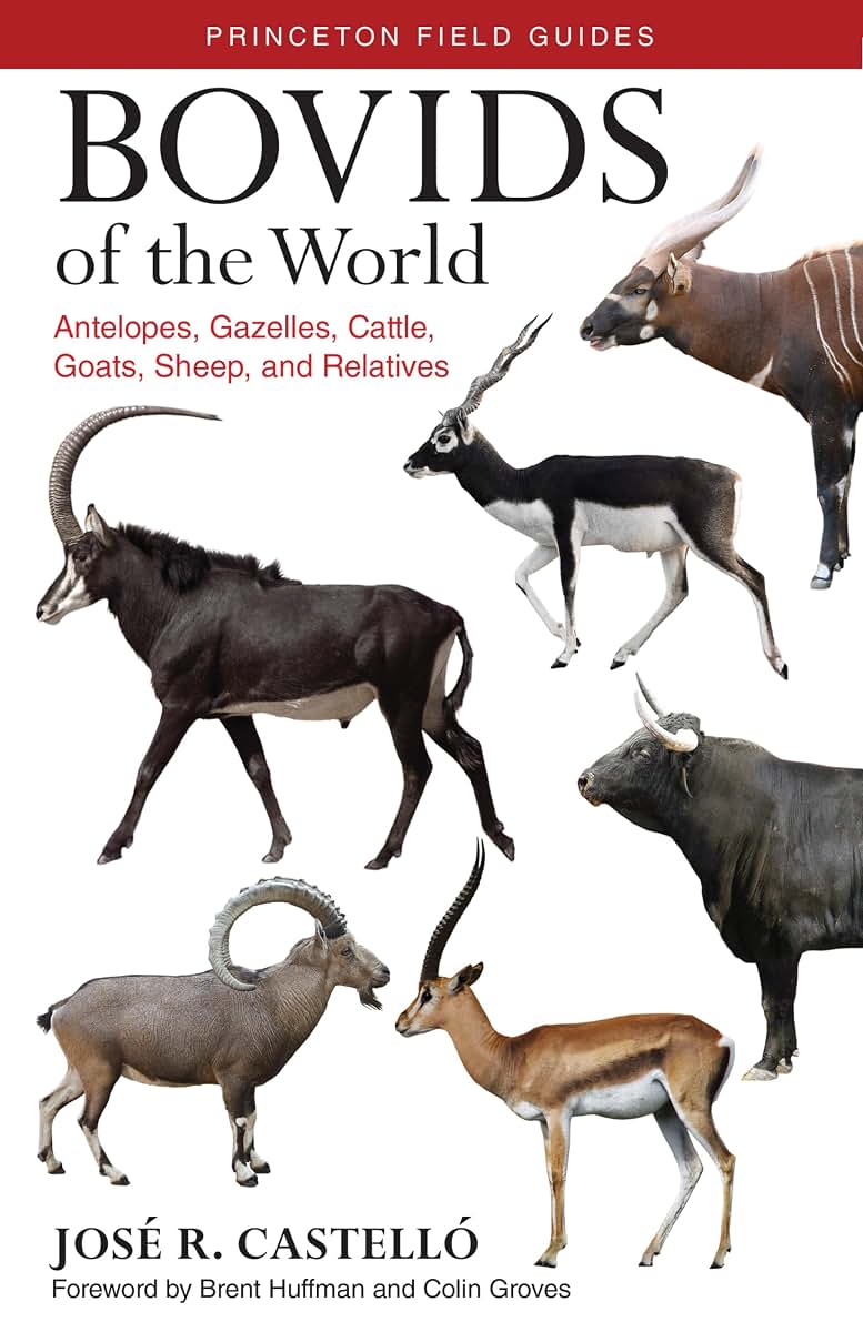 Bovids of the World: Antelopes, Gazelles, Cattle, Goats, Sheep, and Relatives (Princeton Field Guides, 104)