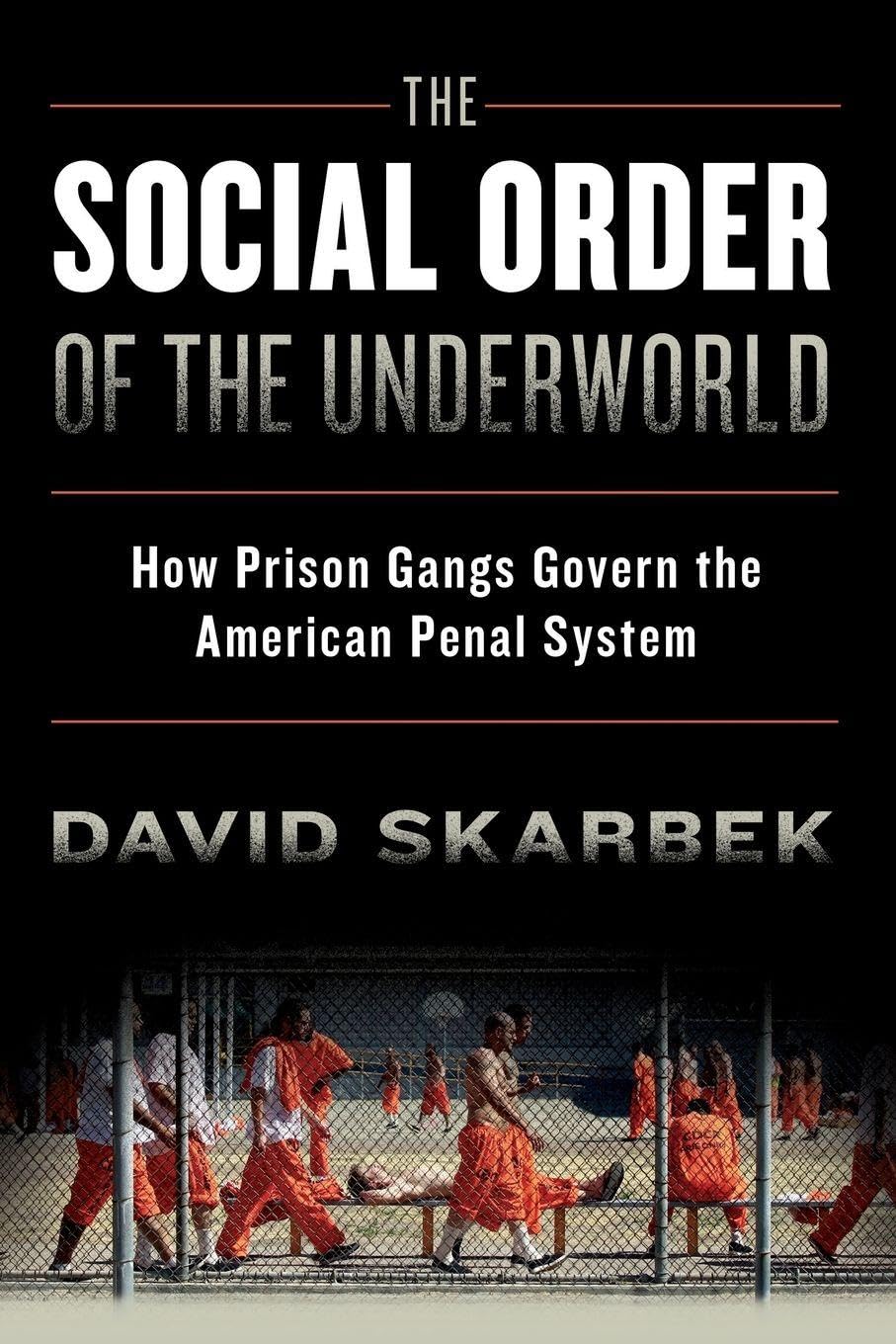 The Social Order of the Underworld: How Prison Gangs Govern the American Penal System