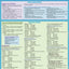 French Verbs (Quick Study Academic)