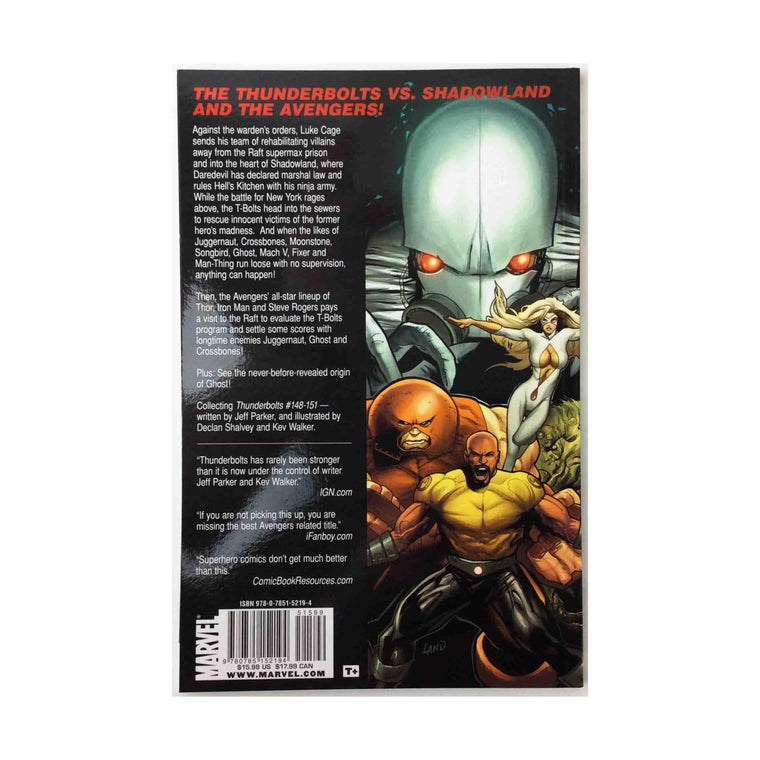 Shadowland: Thunderbolts — back cover
