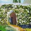 The Secret Garden: Deluxe Painted Edition (Harper Curated Classics: Painted Editions)