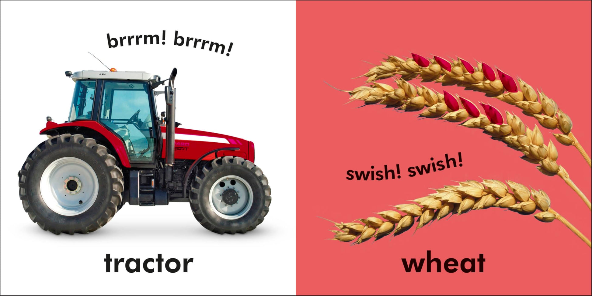 Baby Touch and Feel: Farm