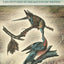 Of Prairie, Woods, and Water: Two Centuries of Chicago Nature Writing