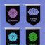 Chakras i-clips Magnetic Page Markers (Set of 8 Magnetic Bookmarks)