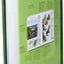 The Encyclopedia of Animals: A Complete Visual Guide