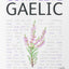 Complete Gaelic Beginner to Intermediate Course (Teach Yourself)