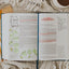 The Ave Catholic Notetaking Bible (RSV2CE)