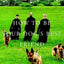 How to Be Your Dog's Best Friend: The Classic Training Manua