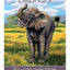 Children's Spirit Animal Cards: 24 Cards and 92 Page Author's Guidebook