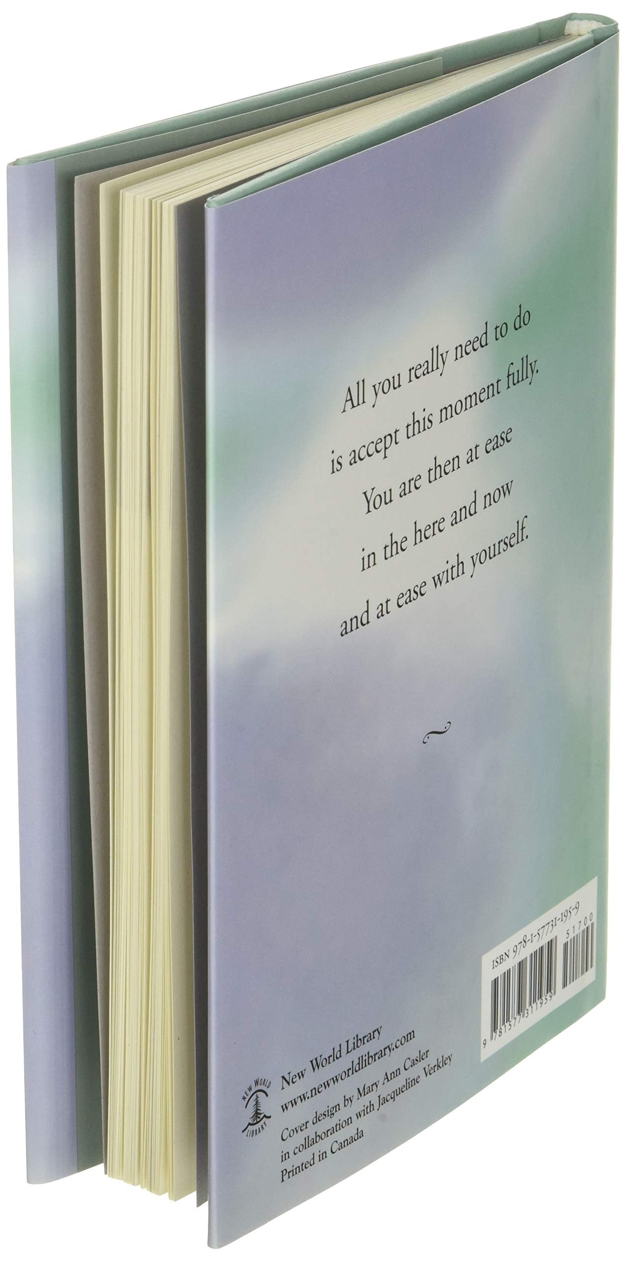 Practicing the Power of Now: Essential Teachings, Meditation