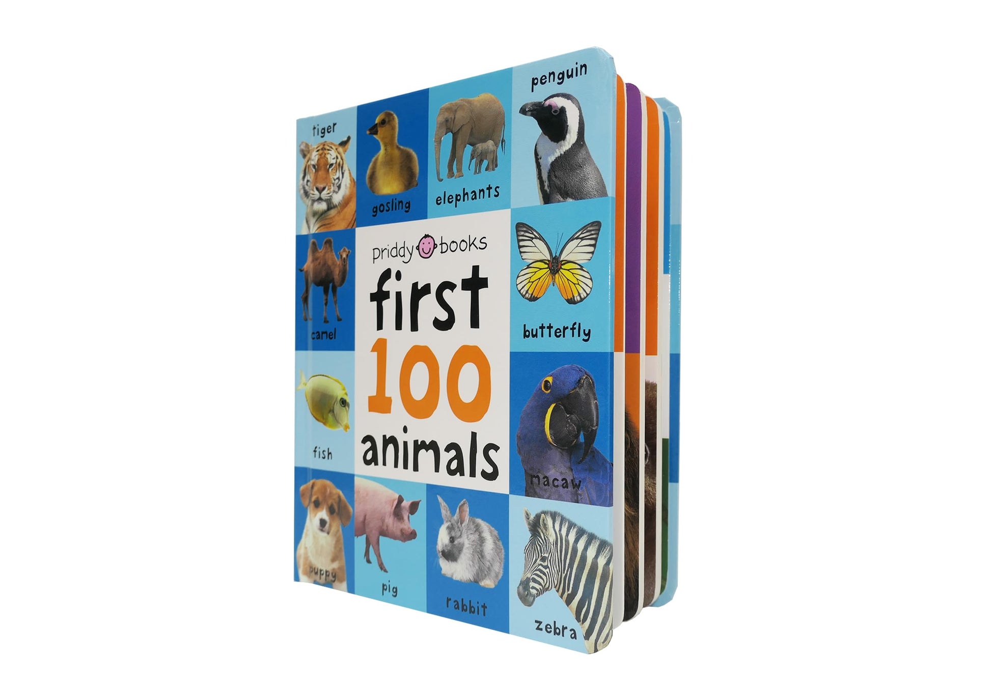 First 100 Big Board: Animals: In the bestselling First 100 series