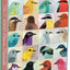 Galison Avian Friends 1000 Piece Jigsaw Puzzle, Multicolor, 1 EA