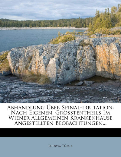 Abhandlung ber Spinal-Irritation: Nach Eigenen, Grsstentheils Im Wiener Allgemeinen Krankenhause Angestellten Beobachtungen... (German Edition)