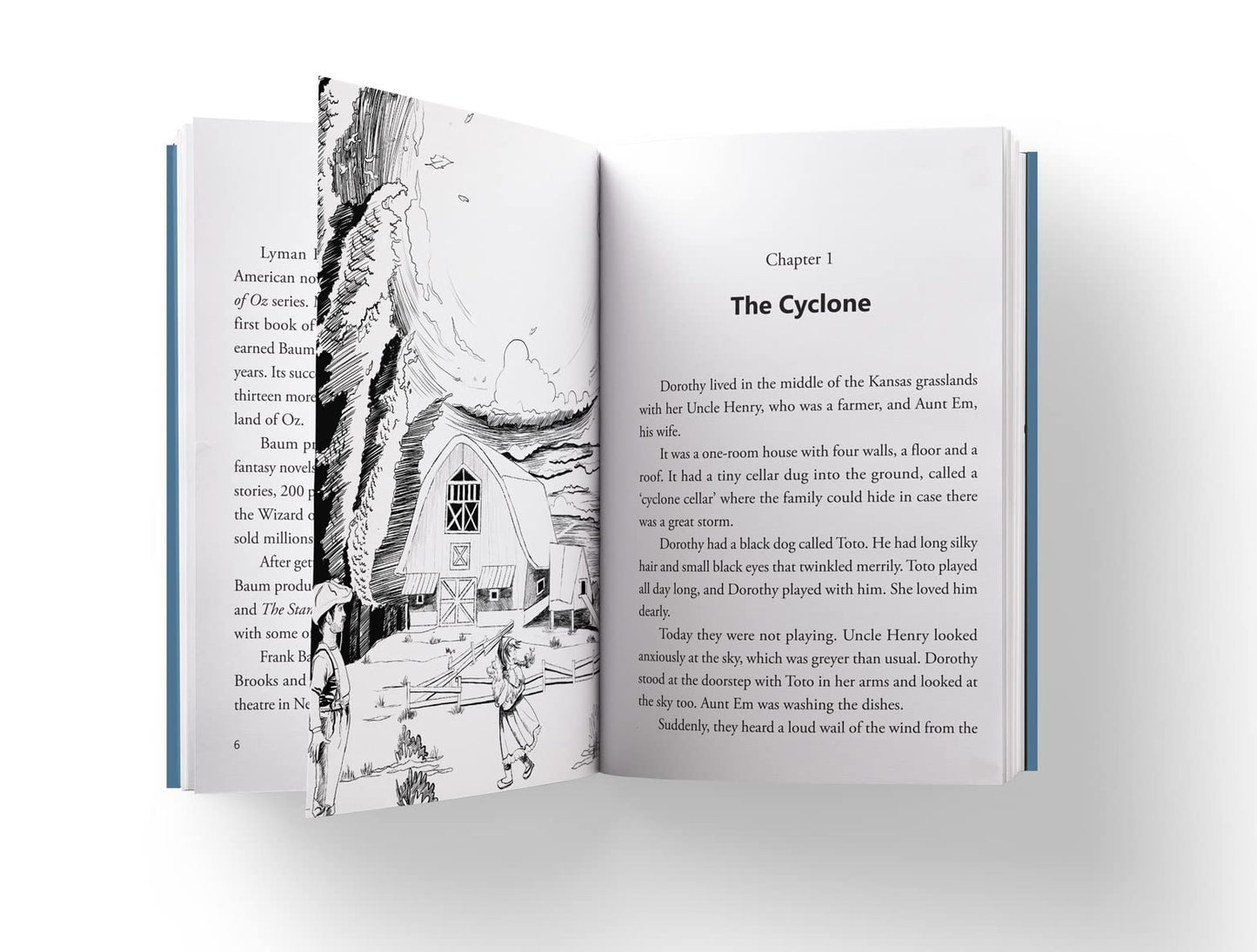 Wonderful Wizard of Oz : llustrated Abridged Children Classic English Novel with Review Questions (Hardback), The (Illustrated Classics)