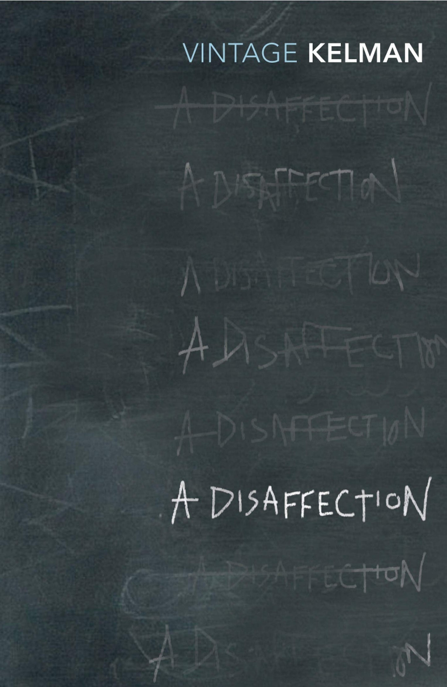 A Disaffection (Vintage Classics)