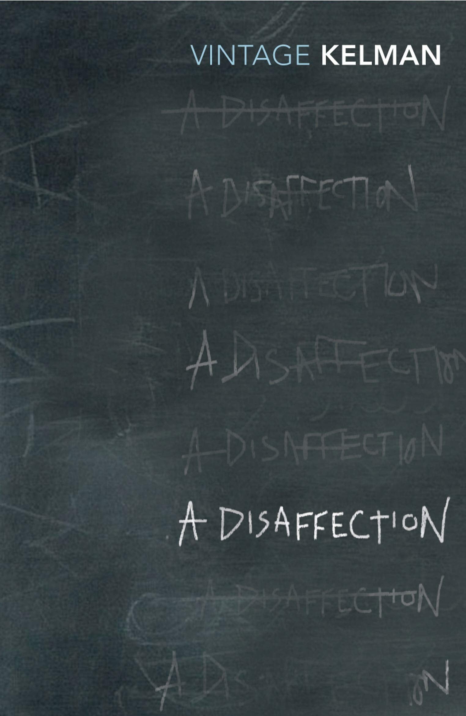 A Disaffection (Vintage Classics)