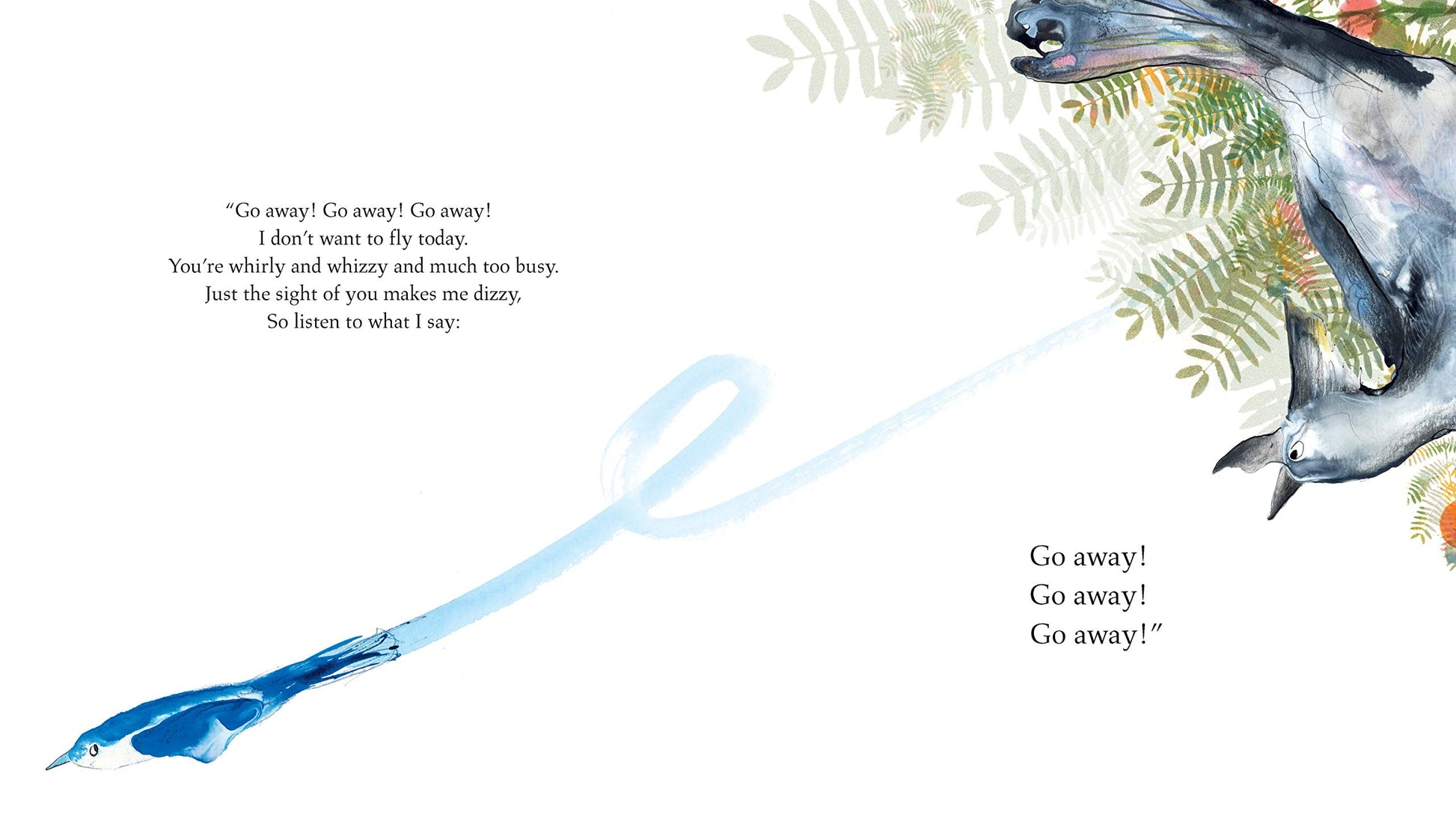 Go-Away Bird