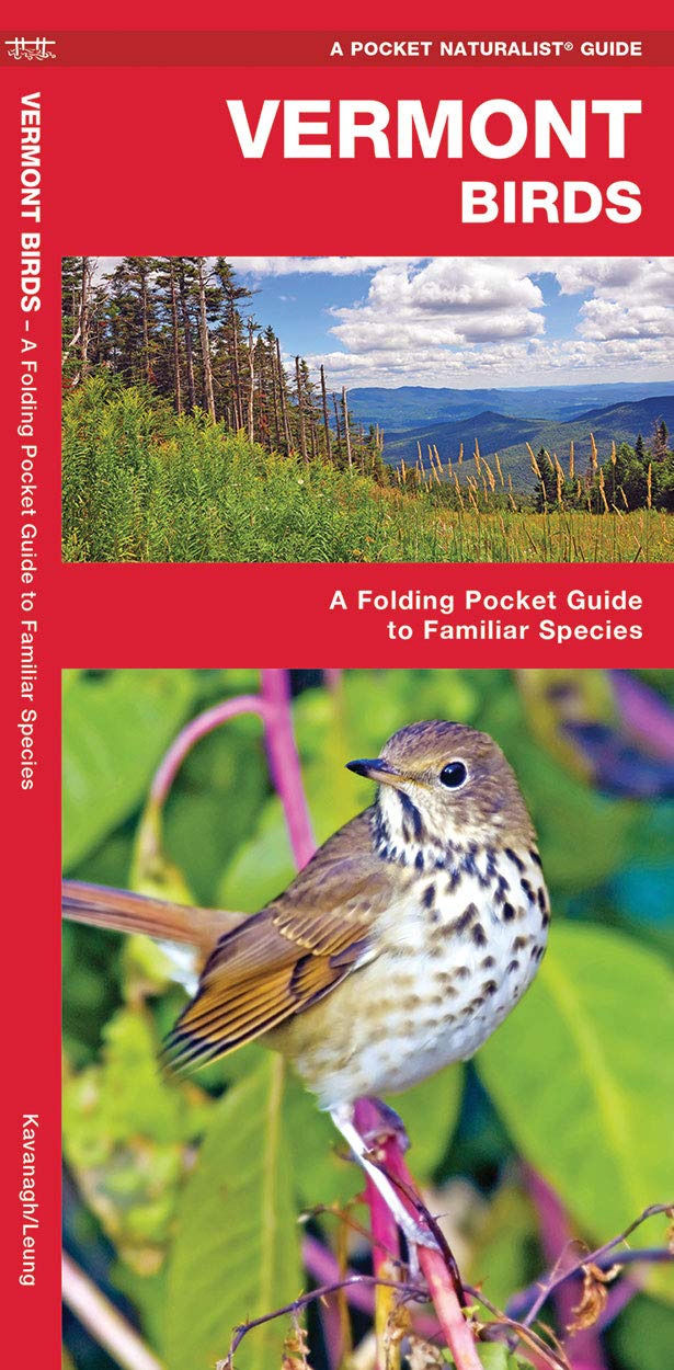 Vermont Birds: A Folding Pocket Guide to Familiar Species (Wildlife and Nature Identification)