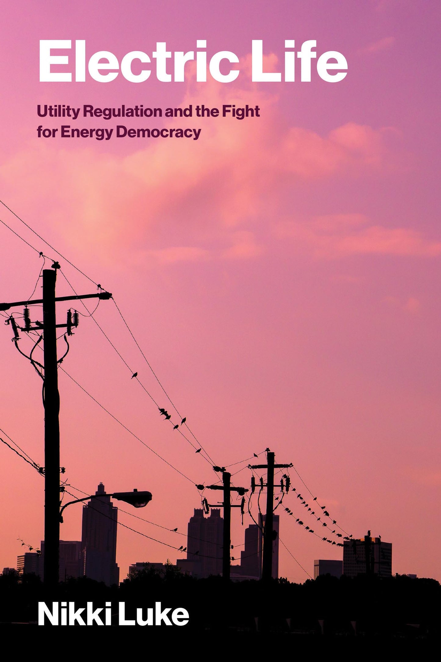 Electric Life: Utility Regulation and the Fight for Energy Democracy (Urban and Industrial Environments)