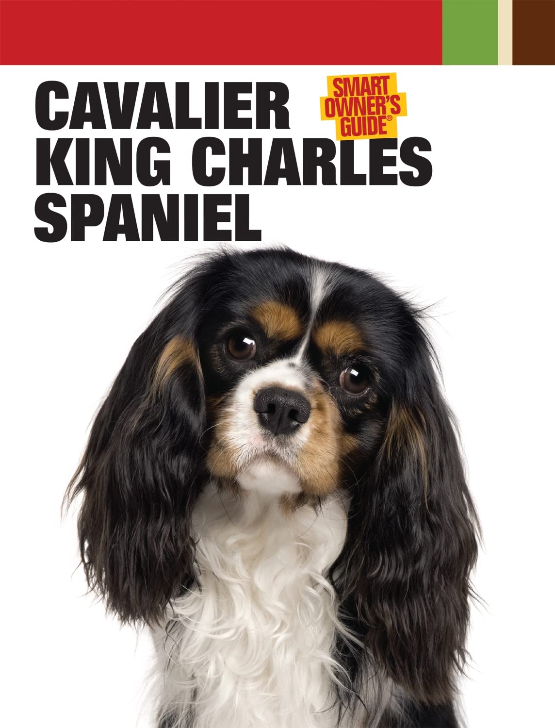 Cavalier King Charles Spaniel (Smart Owner's Guide)