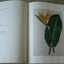 DRAWN FROM NATURE: The Botanical Art of Joseph Prestele and His Sons
