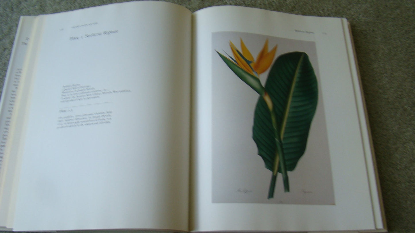 DRAWN FROM NATURE: The Botanical Art of Joseph Prestele and His Sons
