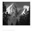 Ansel Adams 2020 Engagement Calendar by Adams, Ansel