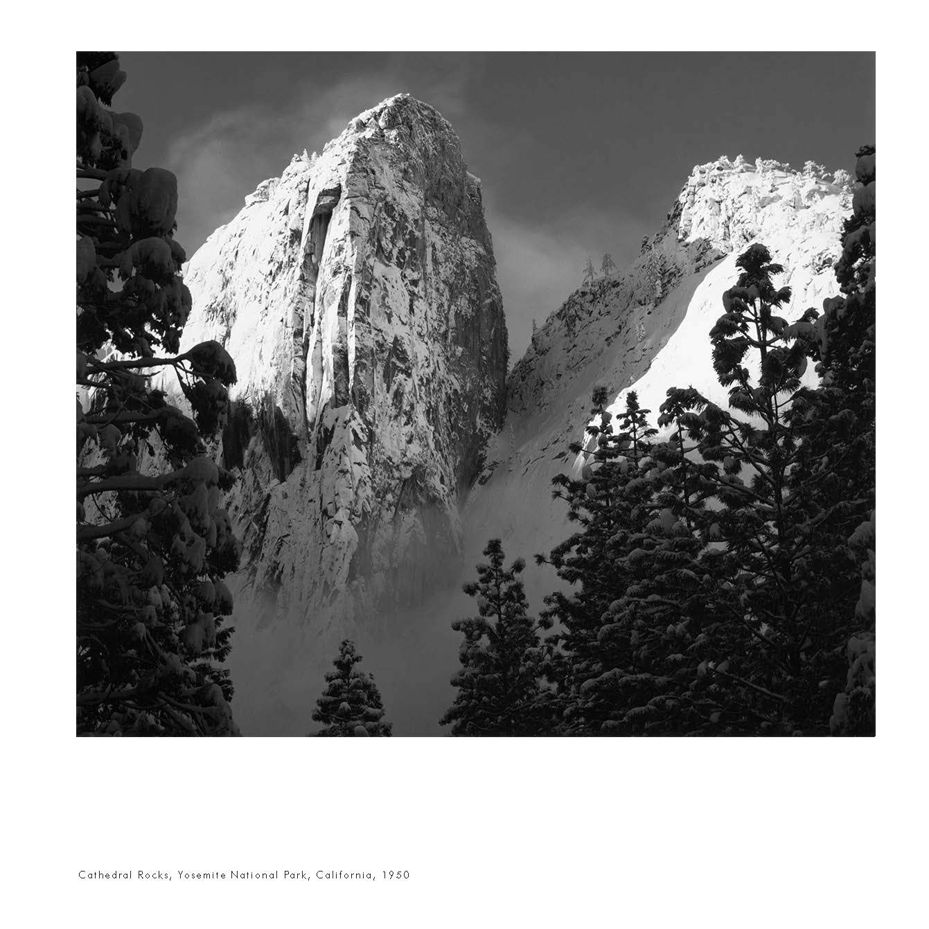 Ansel Adams 2020 Engagement Calendar by Adams, Ansel