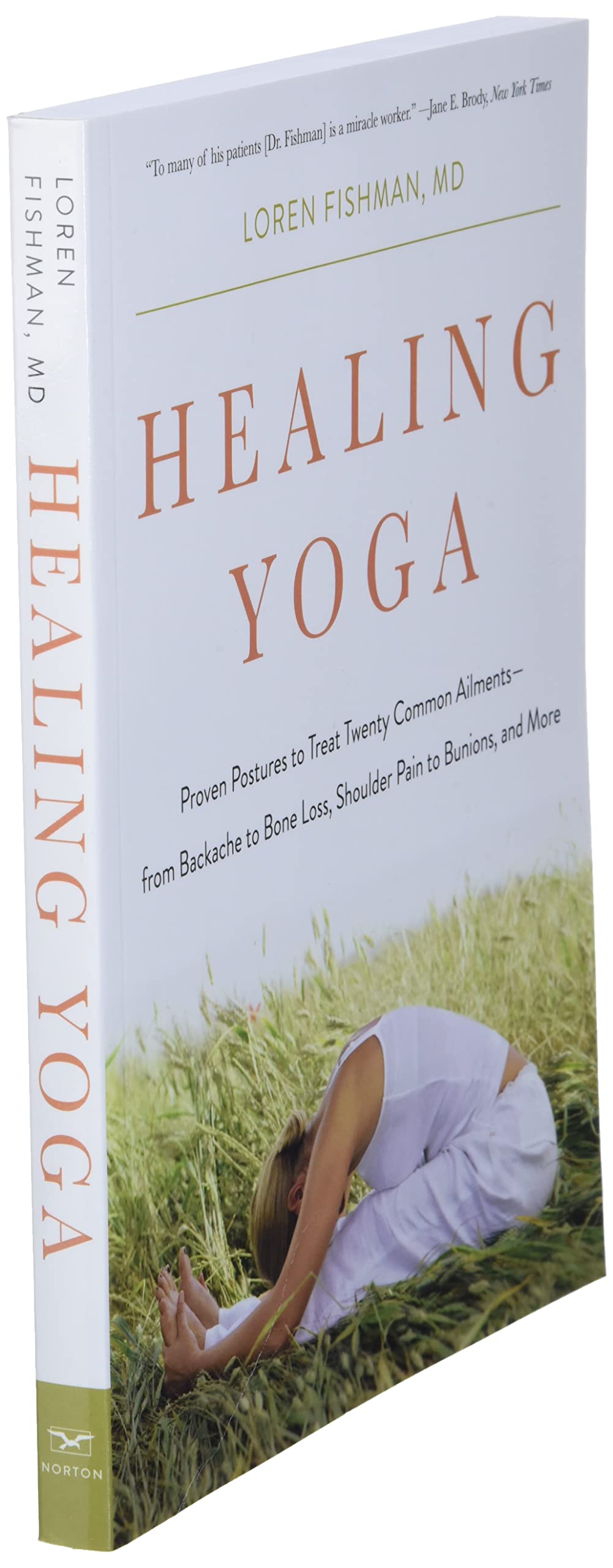 Healing Yoga: Proven Postures to Treat Twenty Common Ailments from Backache to Bone Loss, Shoulder Pain to Bunions, and More
