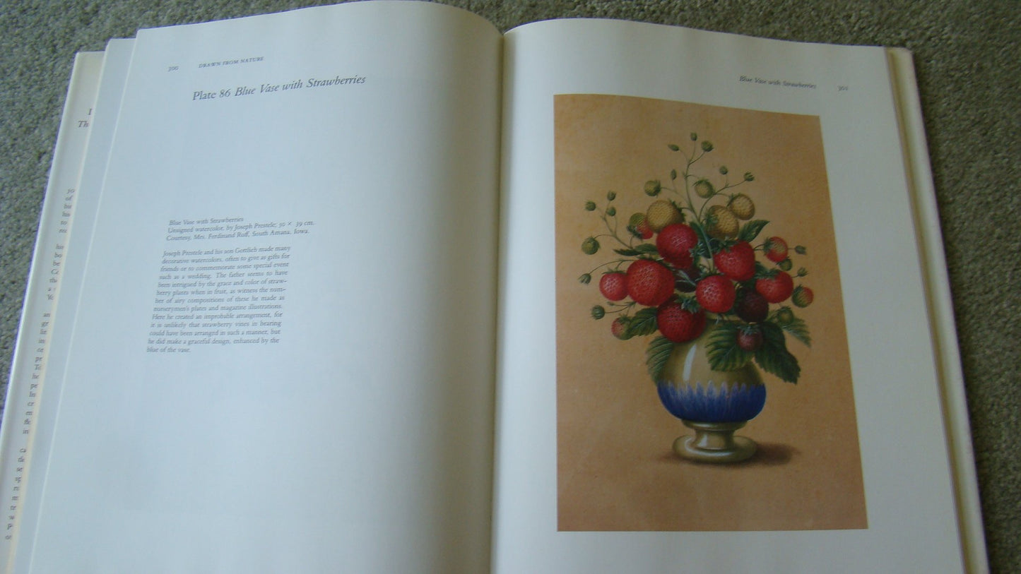 DRAWN FROM NATURE: The Botanical Art of Joseph Prestele and His Sons