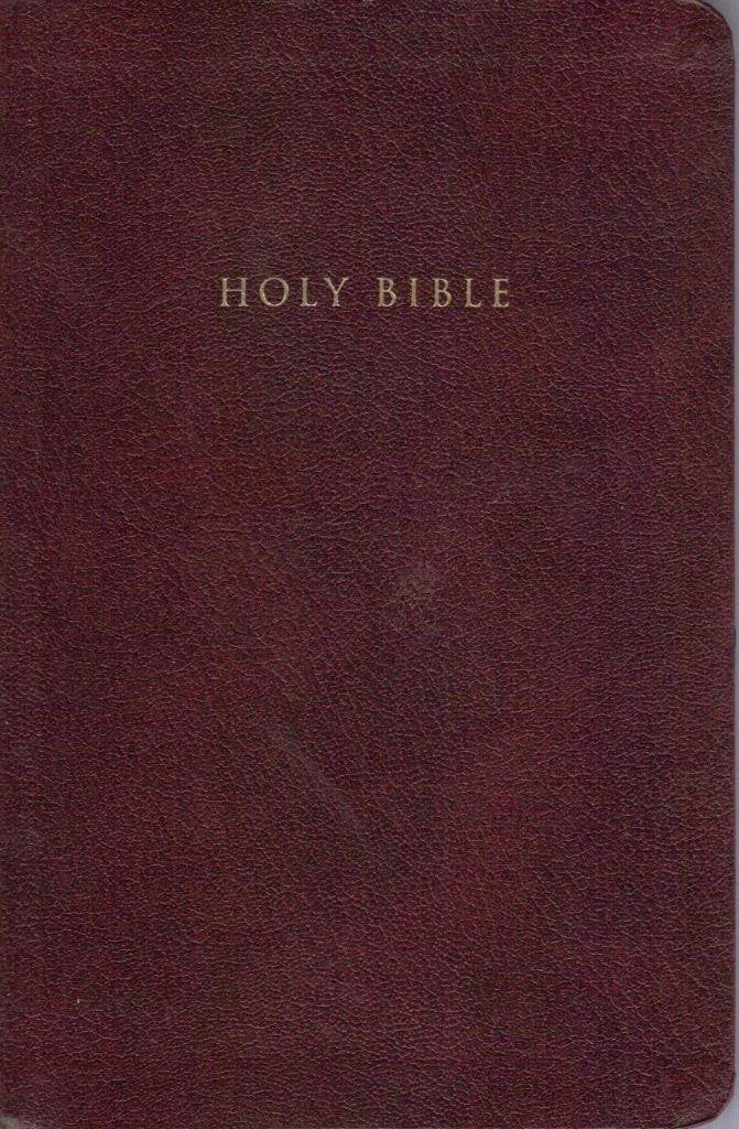 NIV Reference Bible, Personal Size (Burgundy Leather-Look)