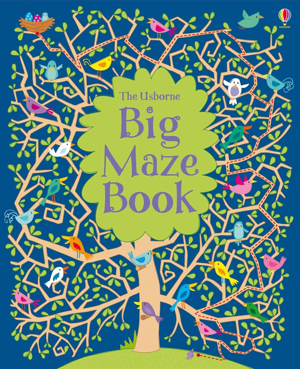 Big Maze Book (Maze Books)